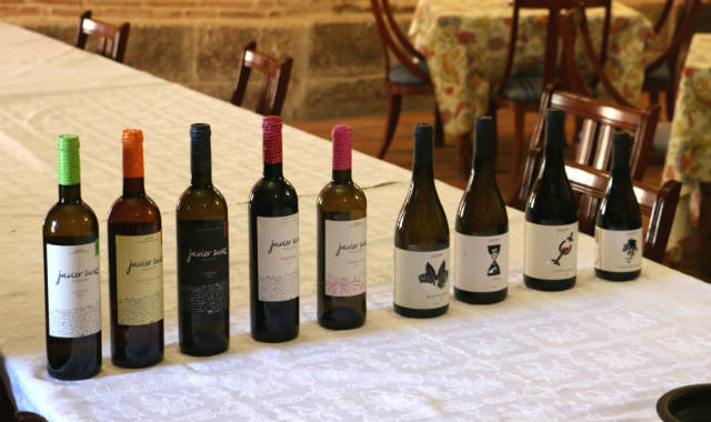 Algunos de los vinos de Javier Sanz Viticultor – Imagen de Destino Castilla y León
