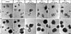 IFN-γ induces dose-dependent enteroid damage.