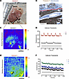 EHT optical mapping.