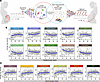 labor (n = 49) from a previously reported data set (<span class='search_...