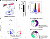 ITGB1-KO reduced the promigratory and proinvasive gene signatures in SCLC.