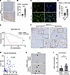 Expression “switching on” in the cervical LN metastasis tissues is closely