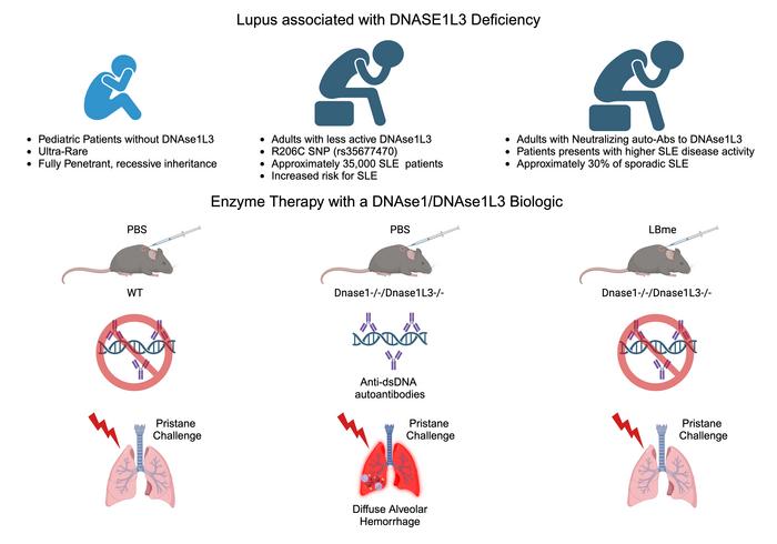 graphical abstract