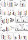 BET inhibition directly influences CLL patient–derived T cell function and