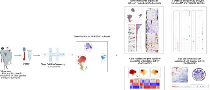 graphical abstract