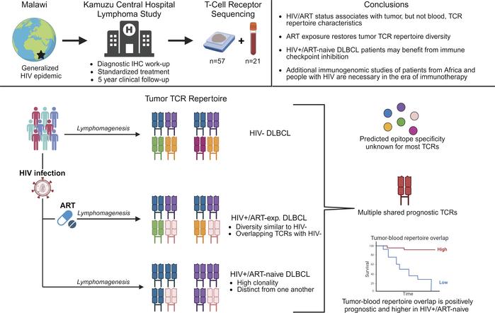 graphical abstract