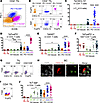 PD-1 and ICOS expression defines 3 CD4+ tumor-infiltrating lymphocyte (TIL)