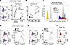 IL2 deprivation promotes CXCL13 production and leads to TFHX13 cell differe