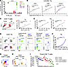 TFHX13 tumor-infiltrating lymphocytes (TIL) in human breast cancer (BC) are