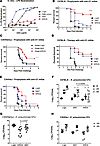 Anti-LPS mAbs protect against K.