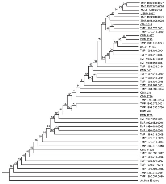 50% majority rule consensus tree for 100,000 MPTs, based on additive binary character coding.