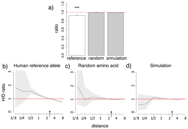 Homoplasic substitutions to the human reference amino acid tend to occur in species closely related to human.