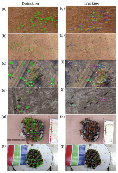 Detection and Tracking results in six example videos.