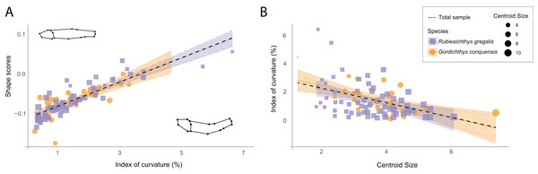 Relation between shape data and index of curvature.