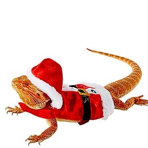 Merry & Bright™ Reptile Santa Costume