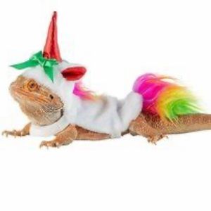 🆕 Merry & Bright Reptile Unicorn Costume