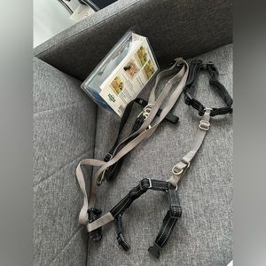 PetSafe 3 in 1 dog harness