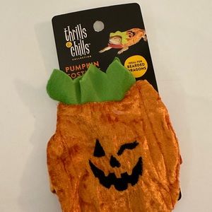 Brand new pumpkin Halloween costume for bearded dragons