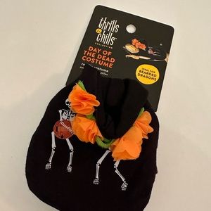 Day of the dead bearded dragon brand new pet Halloween costume