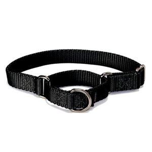 PetSafe Martingale Collar, 1" Black, Large