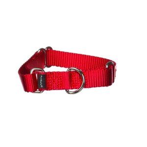 PetSafe Martingale Collar, 3/4-Inch  Red, Small