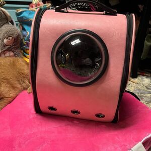 Cat Travel Carrier Pet Backpack Pink Bubble View