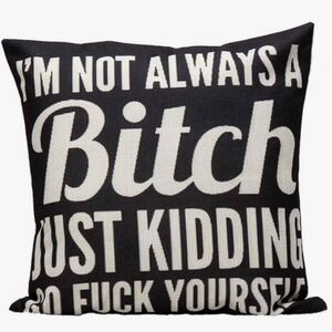 Funny Sassy Pillow Sham 17" x 17"