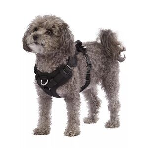 Top Paw® Neoprene Comfort Dog Harness