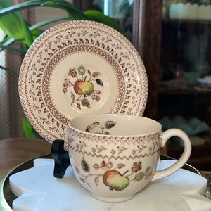 Vintage Johnson Bro Fruit Sampler Cup + Saucer Staffordshire Old Granite England