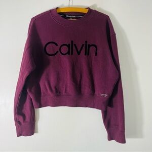 Calvin Klein Performance Purple Crop Top Sweatshirt Size L