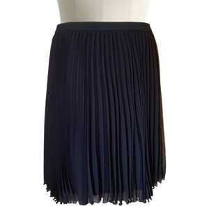 Fully Lined Pleated Skirt with Elastic Waistband in Black Size Medium Petite