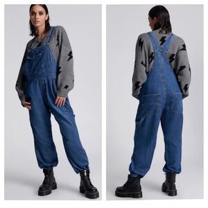 One Teaspoon x Free People Stanton Overalls size Medium Oversized