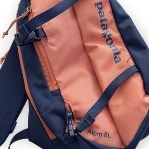 Patagonia Backpack