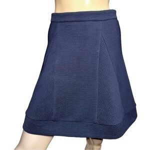 Sonia by Sonia Rykiel Women’s Size 34 4 Blue Ribbed Faux Pleated Full Skirt