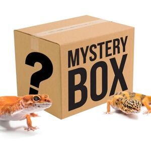 Reptile Mystery Box - Assorted mystery box meant for a reptile/owner