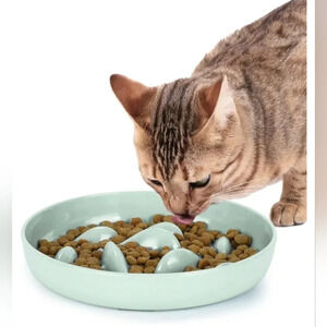 Cat Slow Feeder Bowl,Cat  Puzzle Feeder Bowl