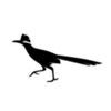 roadrunner_res