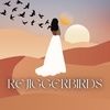 rejiggerbirds