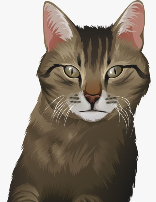 vector art diamond painting cat