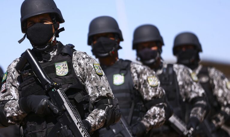 Força Nacional de Segurança vai reprimir crimes ambientais na Amazônia Legal até 2023