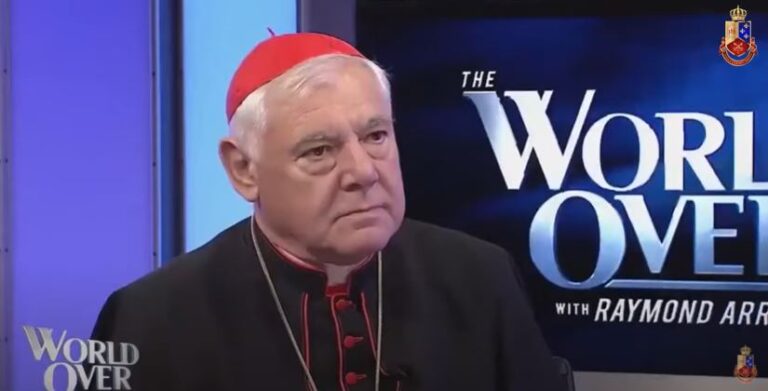Católicos devem obedecer a Deus, não à nova ordem mundial, diz cardeal Müller