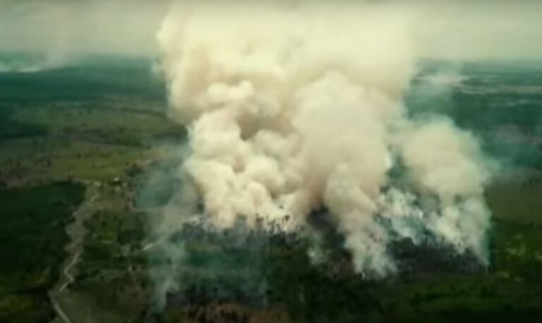 Estadão: “Amazônia e Cerrado registram em junho o maior número de queimadas desde 2007”