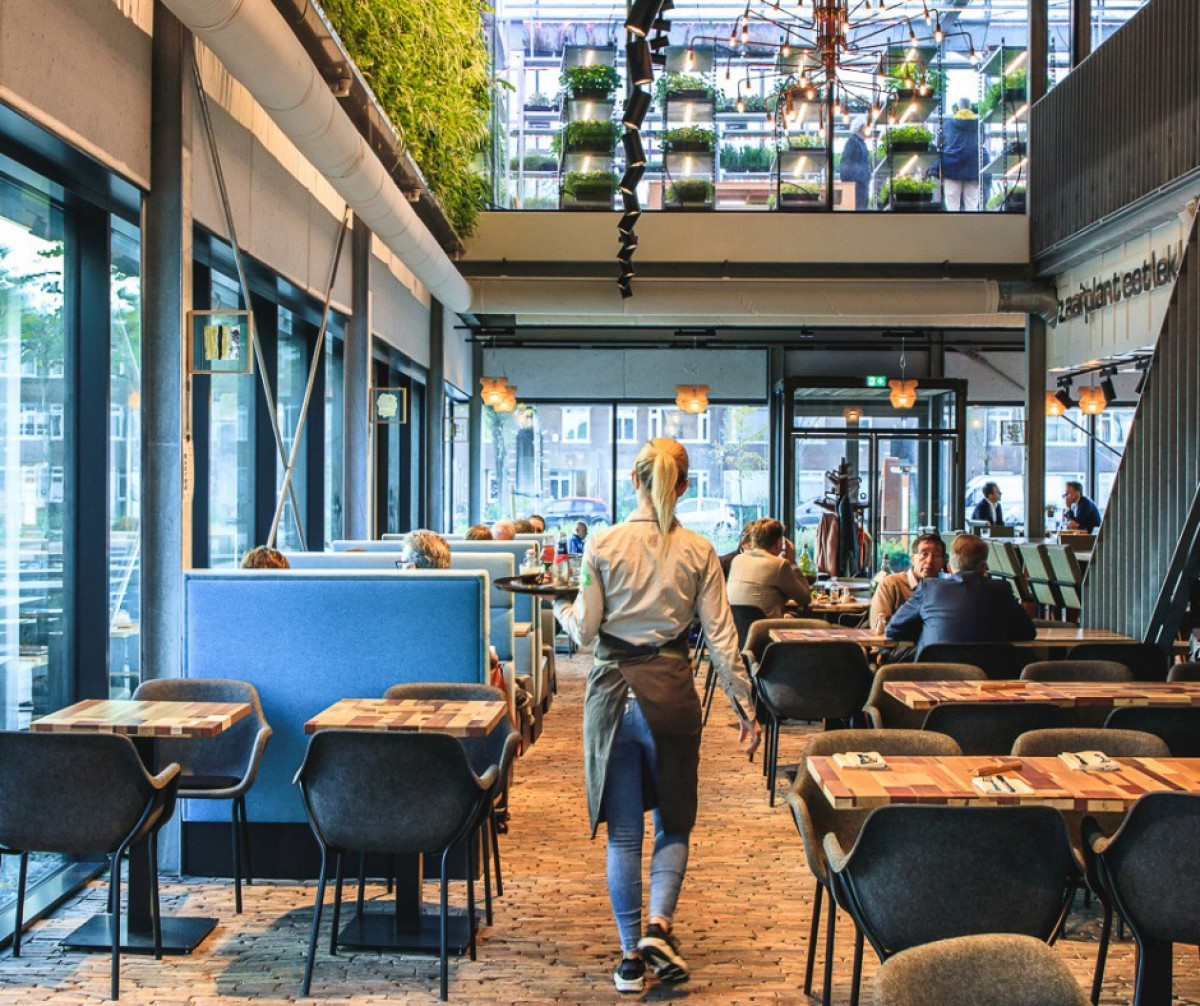 The Green House 14 Vegan And 21 Vegetarian Meals Restauplant