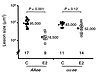 Atherosclerotic lesion size expressed on a log scale in ovariectomized 4-mo