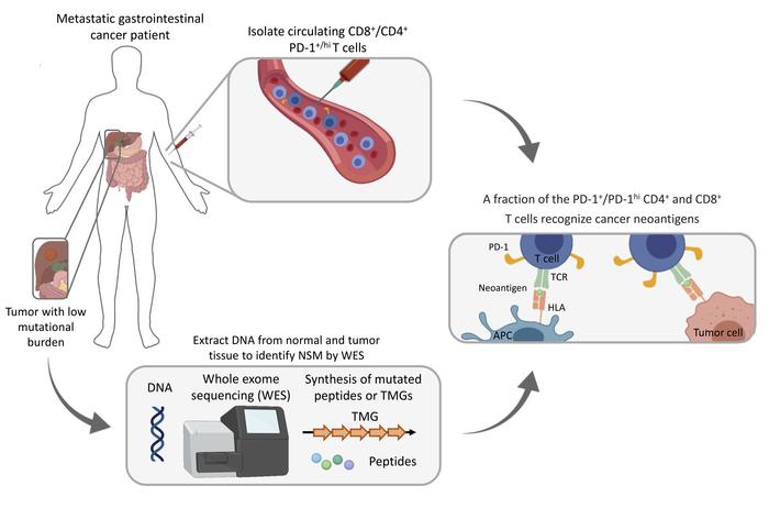 graphical abstract