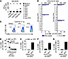 Identification of CD8+ neoantigen-specific lymphocytes in peripheral blood