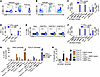 Autologous tumor recognition by circulating neoantigen-specific lymphocytes