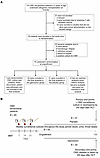 CONSORT diagram and study design for the prophylaxis trial.