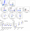 Number of immune cell subsets and proportion of IFN-γ expression in patient