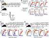 The selective JAK1/2 inhibitor baricitinib permits alloengraftment in CD45-